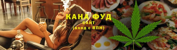 хмурый Анива