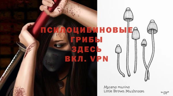мяу мяу кристалл Медвежьегорск