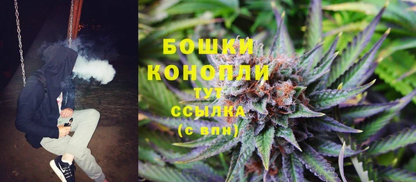 spice Медногорск