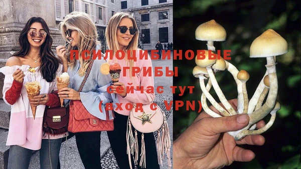 spice Медногорск