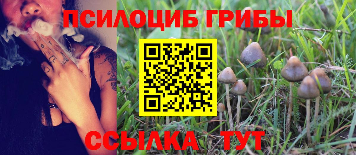 Галлюциногенные грибы MAGIC MUSHROOMS Коломна