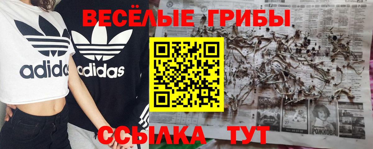 Галлюциногенные грибы MAGIC MUSHROOMS  Коломна 